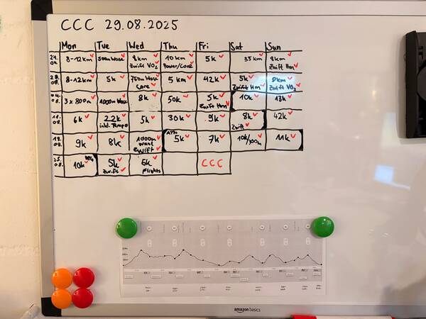The training log before CCC including the printed-out elevation profile of the race functioning as a stark reminder