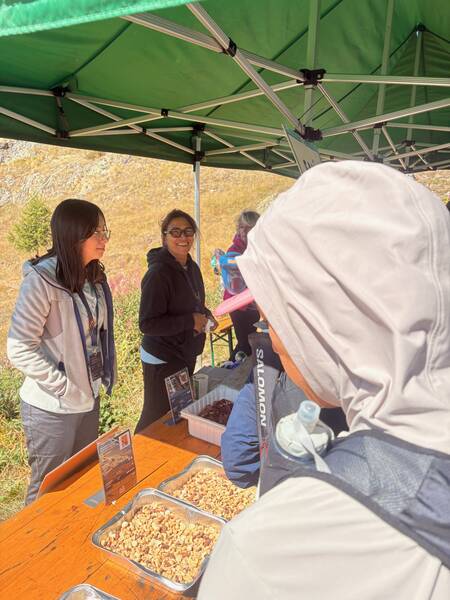 Friendly volunteers ✅