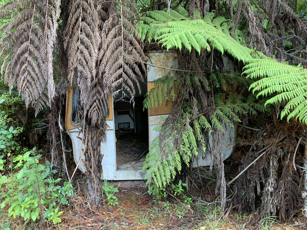 Someone forgot his trailer in the bush. Made me dream about was might have been going on here. Also, remember that Lost episode were Hurley finds a trailer in the jungle? Kind of like that.