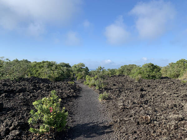 One of the easy volcanic trails