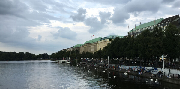 The swans on the Alster are not impressed